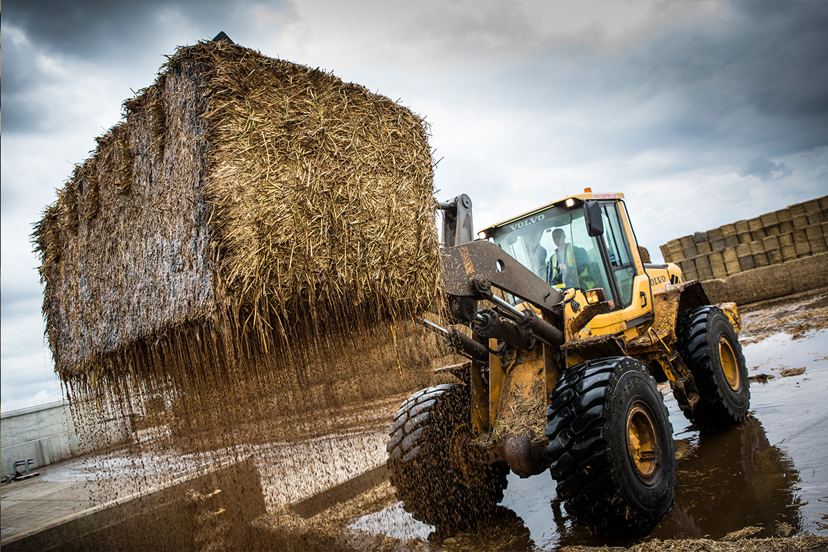 Wet straw and compost handling process